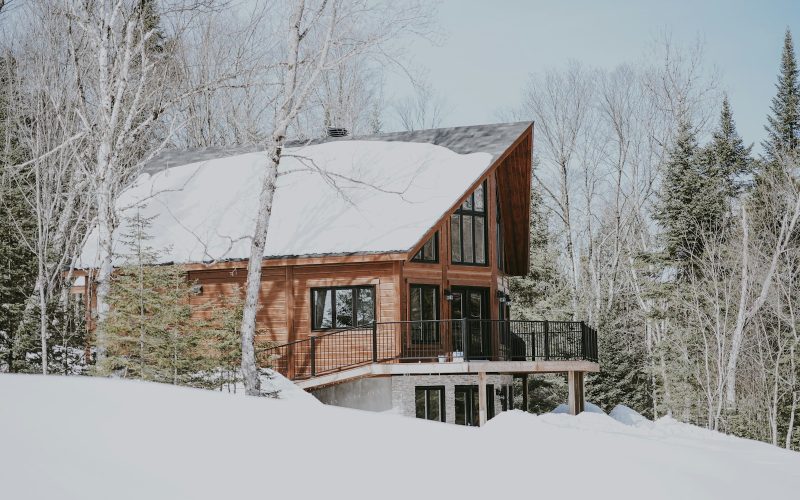 cabin near snowy forest