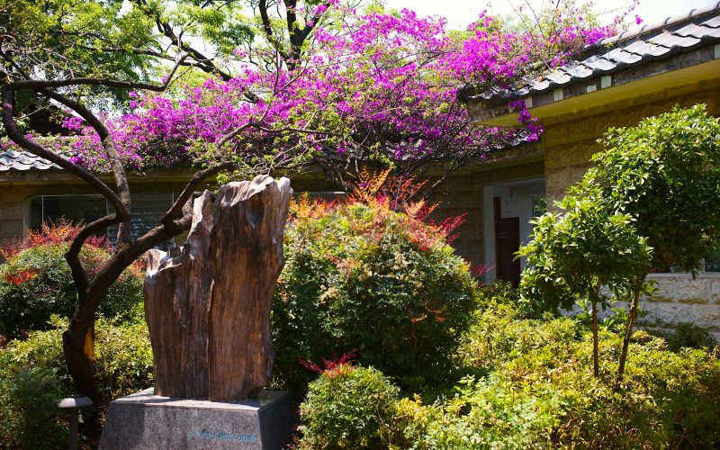 a tree stump in a garden with purple flowers