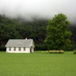 Groen in en om je huis